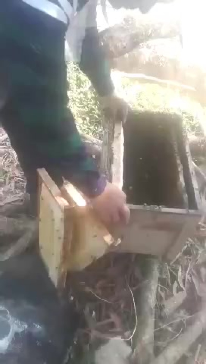 蜂箱