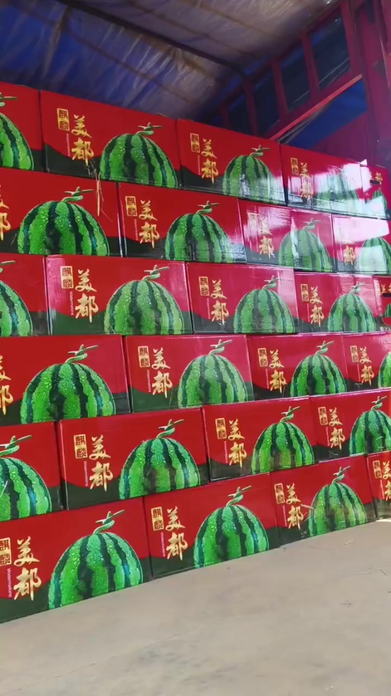 夏邑无籽美都，嘉年华711大量上市质量三包全国发货
