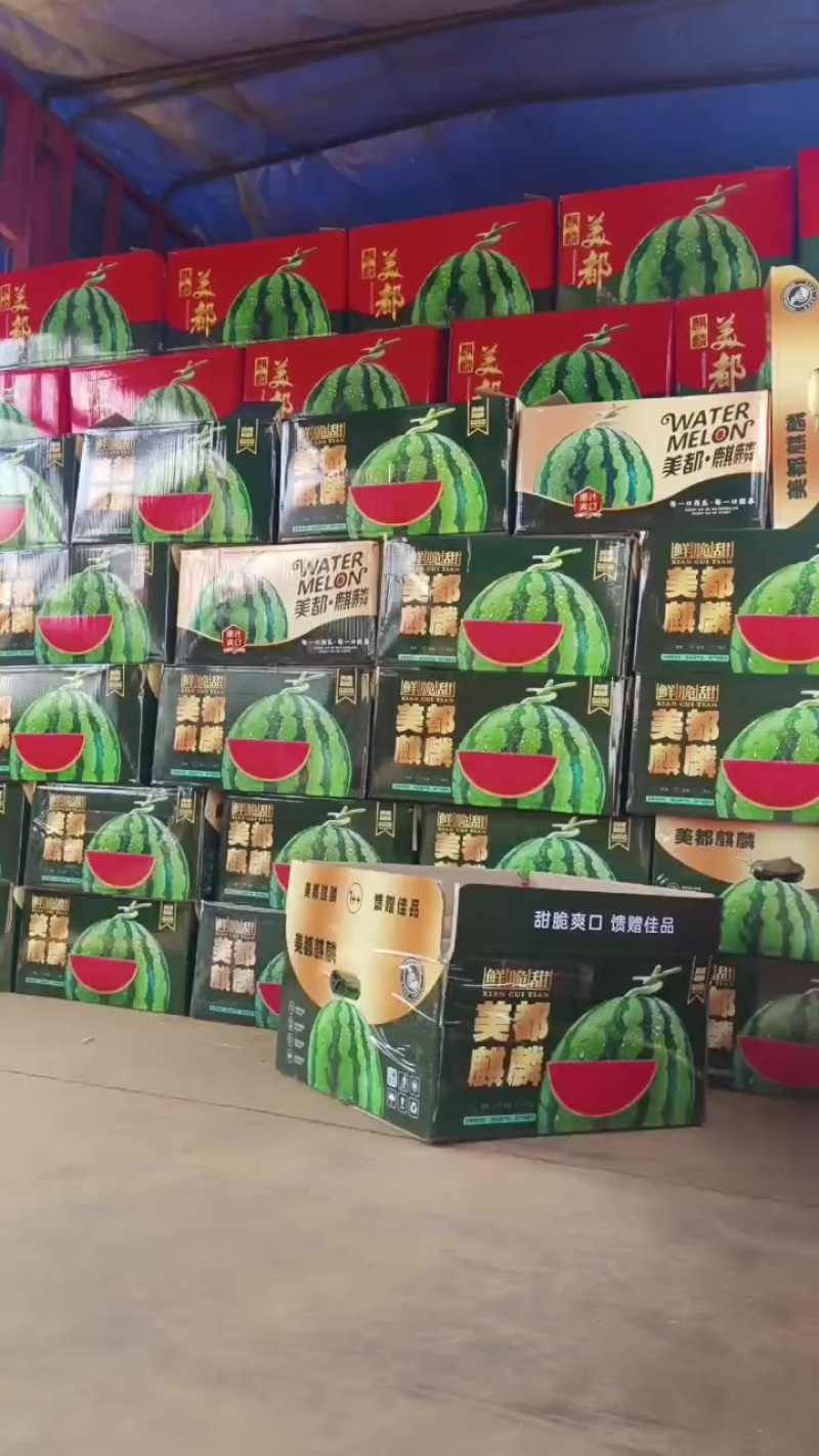 夏邑无籽美都，嘉年华711大量上市质量三包全国发货