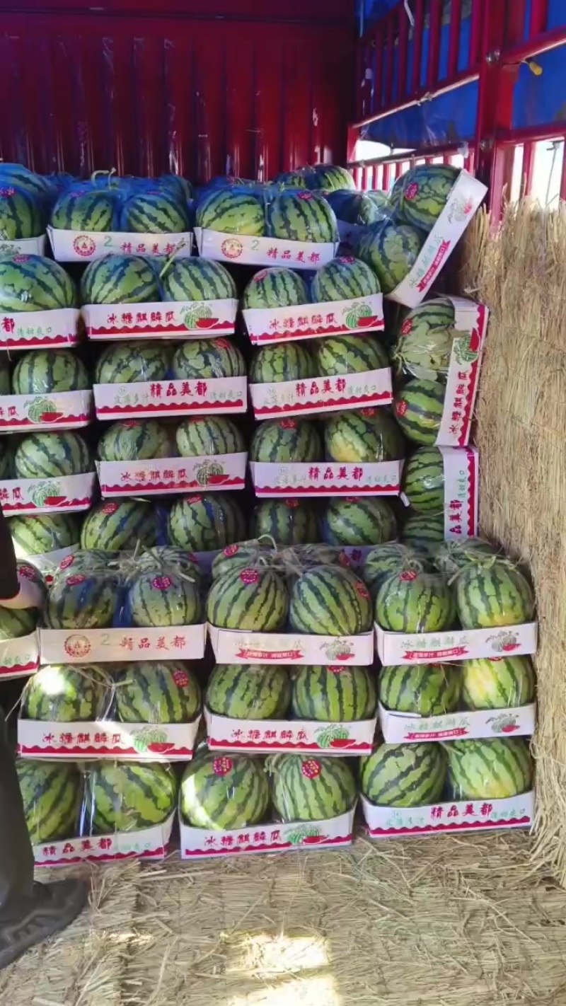 夏邑无籽美都，嘉年华711大量上市质量三包全国发货