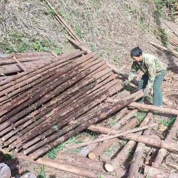 绿化杆
