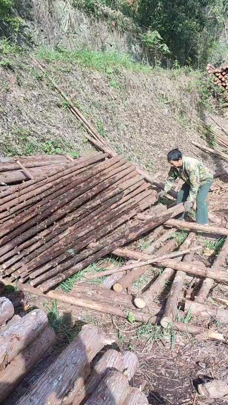绿化杆
