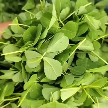 草头