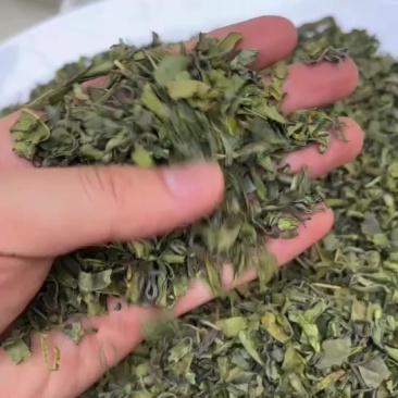 2025年香茶