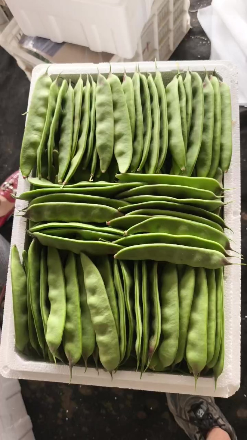 一点红油豆，大量有货