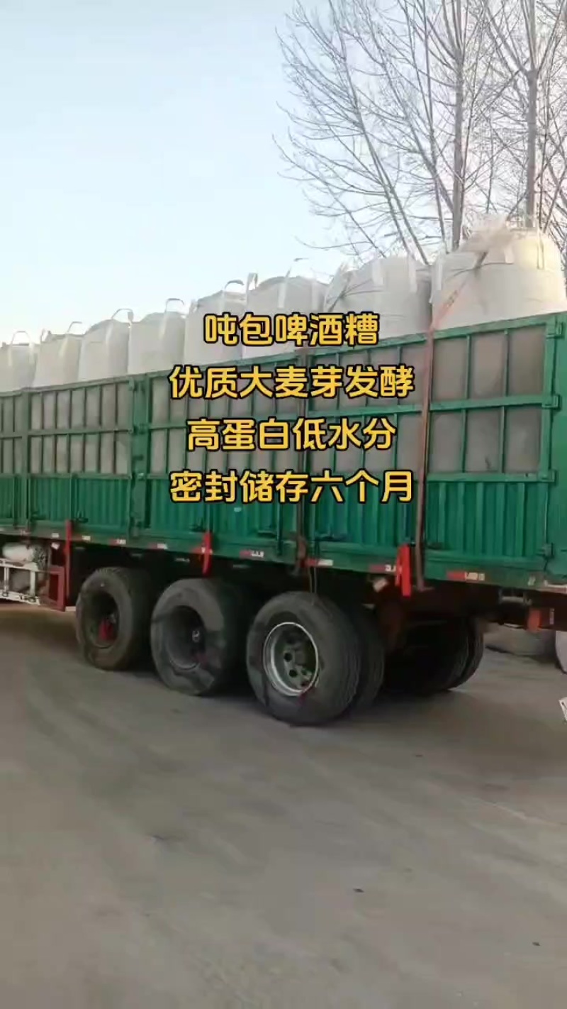 吨包啤酒糟