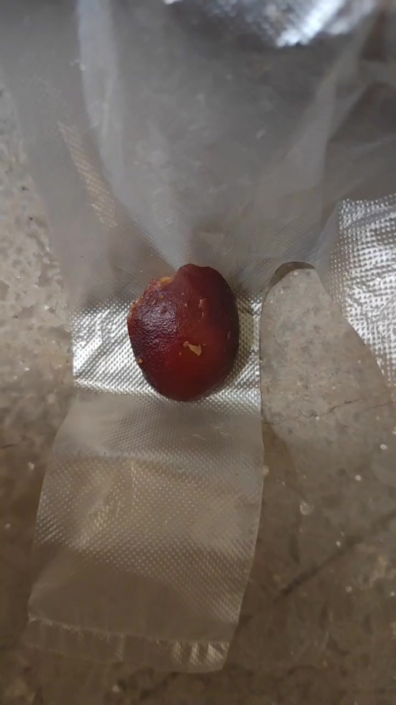 鸡宝