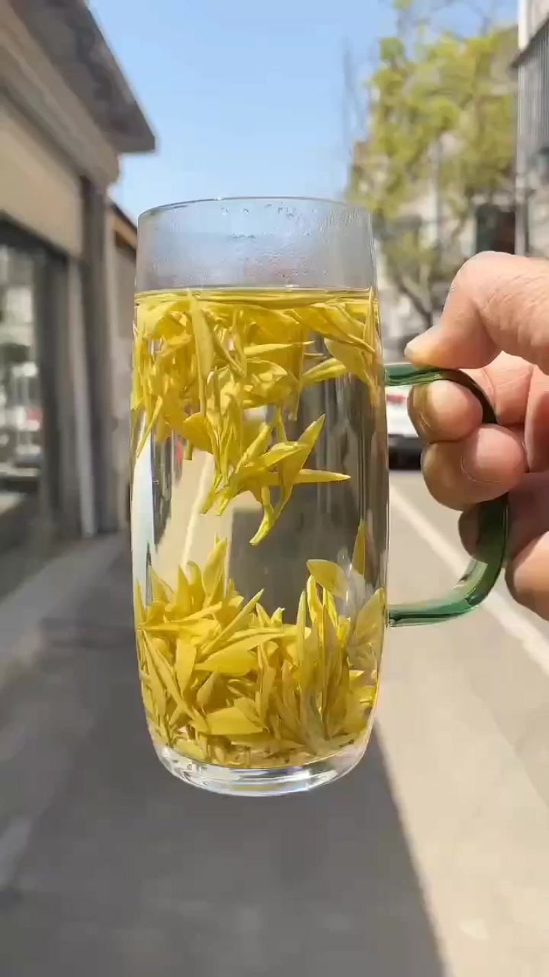 黄金芽