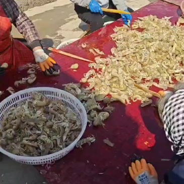 皮皮虾带黄60不带黄35