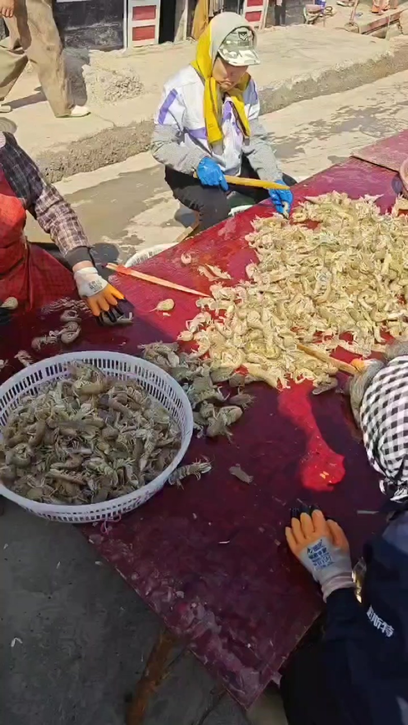 皮皮虾带黄60不带黄35