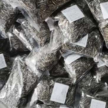 干炒瓜子，生瓜子，一件代发，全网***，高品质
