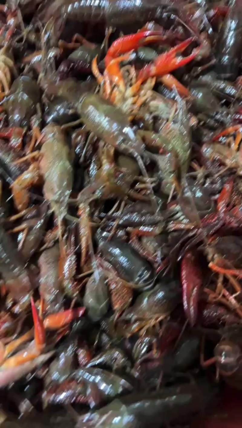 规格齐全质量保证