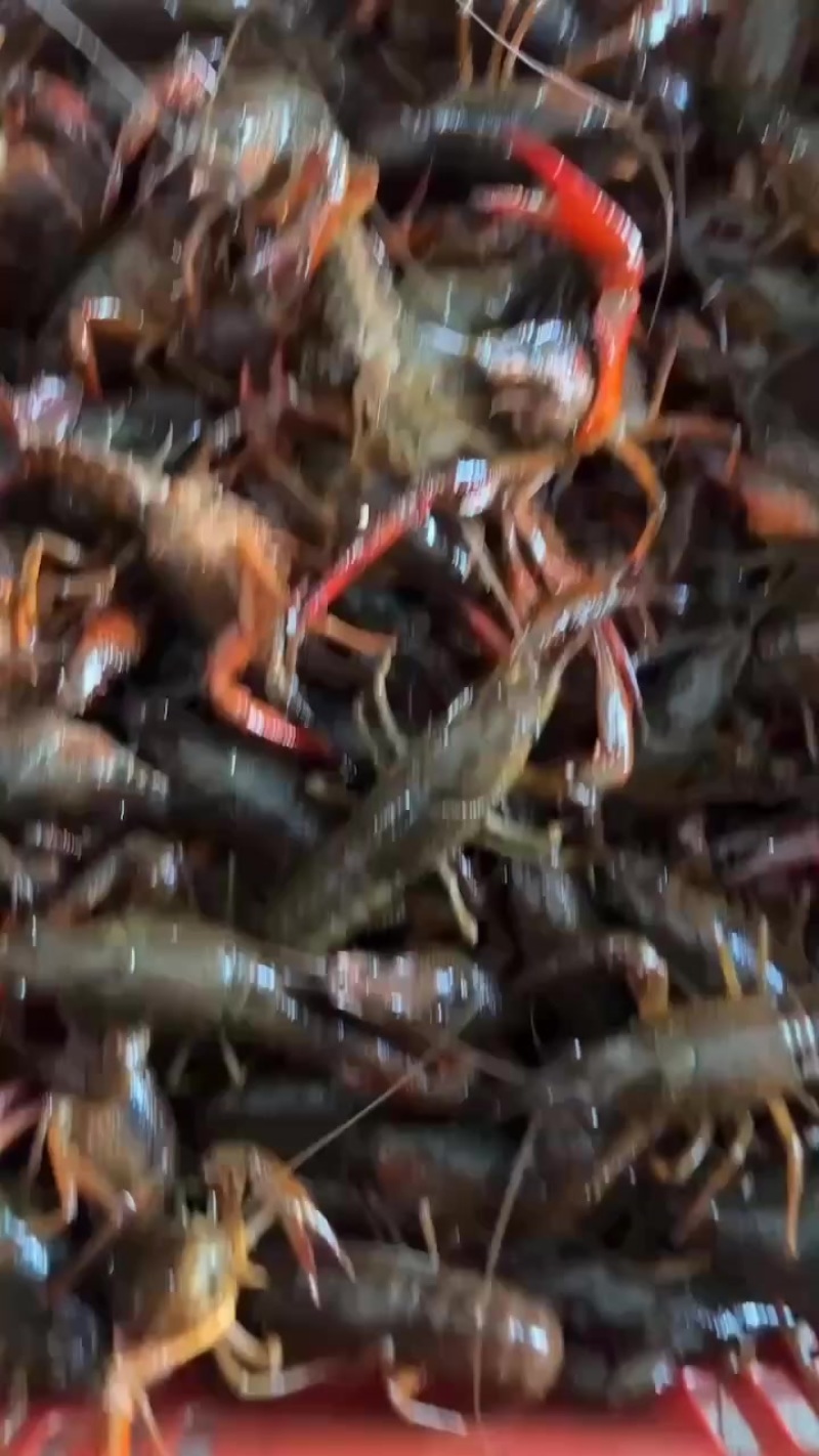 规格齐全质量保证