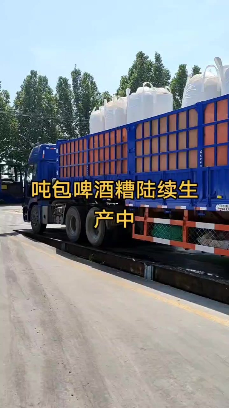 吨包啤酒糟