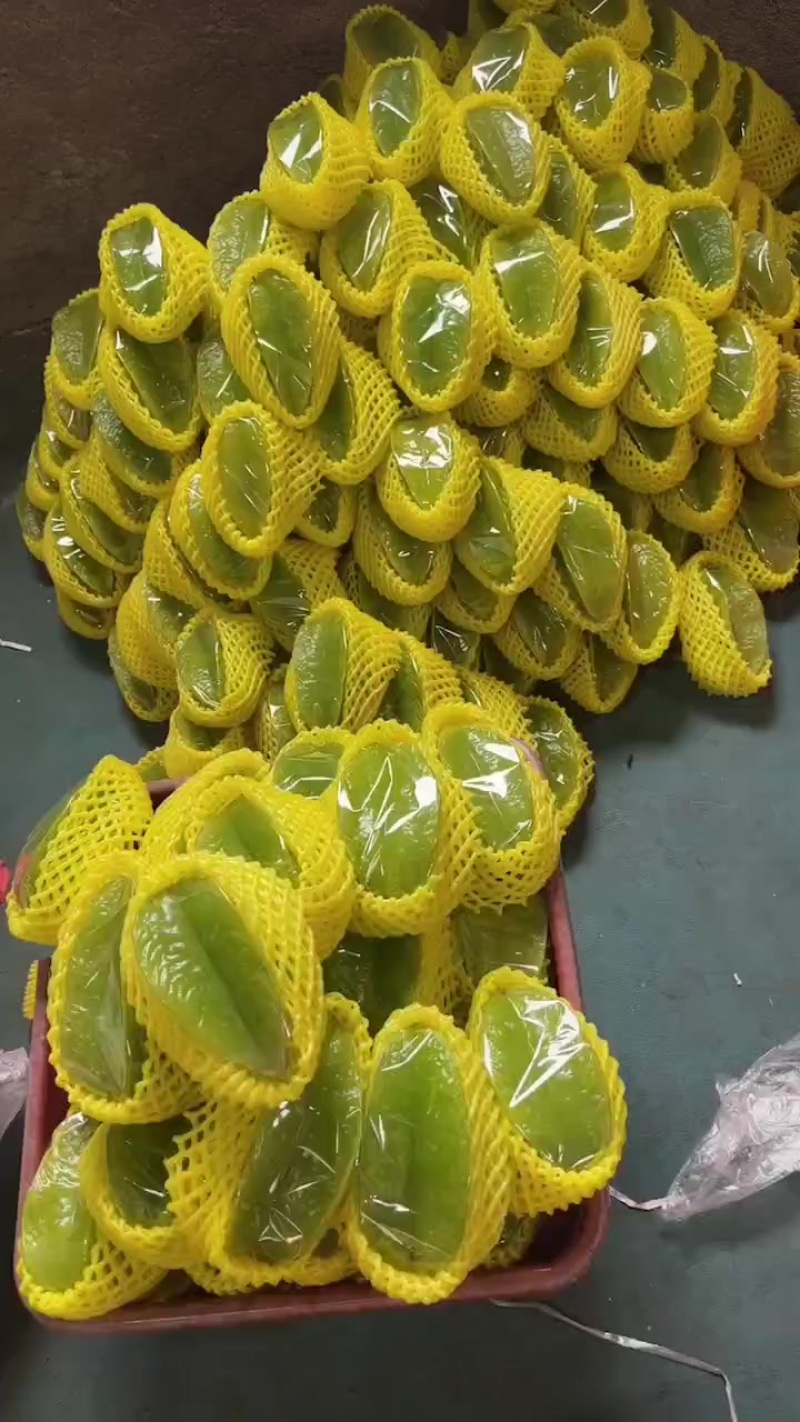 漳州杨桃批发