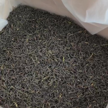 新茶上市凤凰单丛茶农工厂直批，支持一件代发欢迎前来咨询。