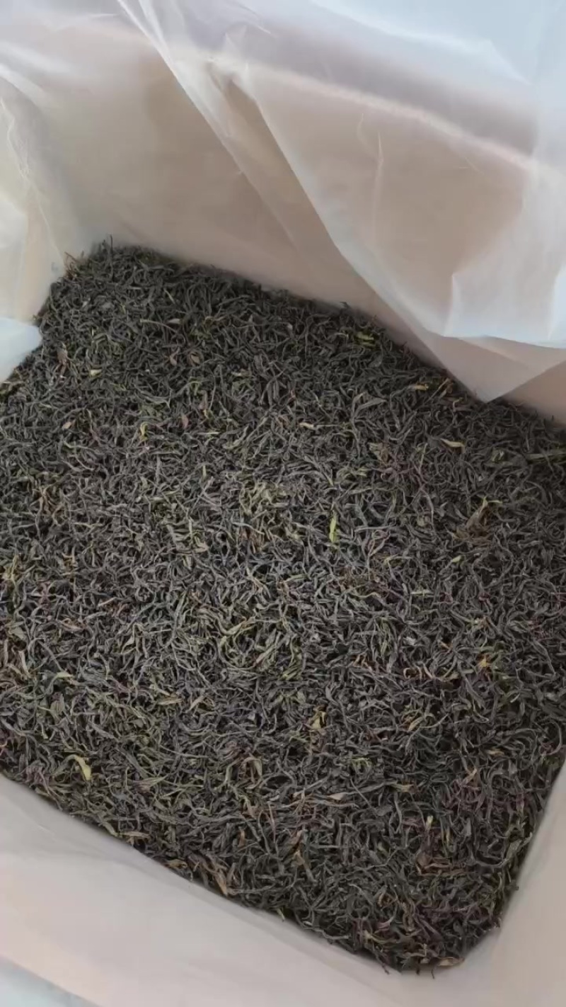 新茶上市凤凰单丛茶农工厂直批，支持一件代发欢迎前来咨询。
