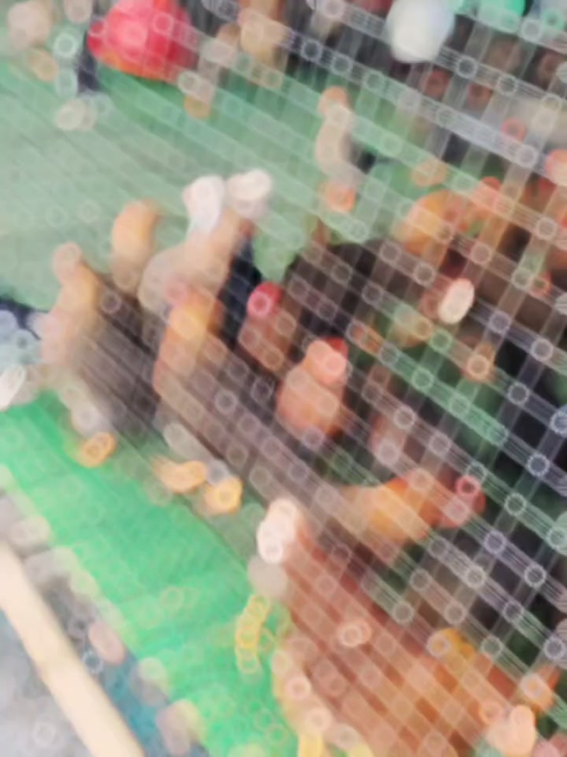 脱温鸡。