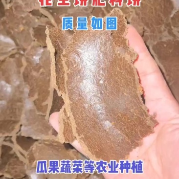 瓜果蔬菜等农业种植底肥