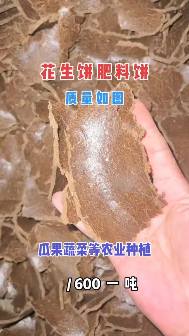 瓜果蔬菜等农业种植底肥