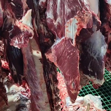 鲜牛肉