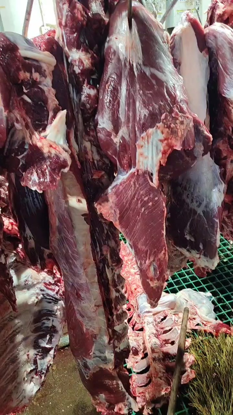 鲜牛肉