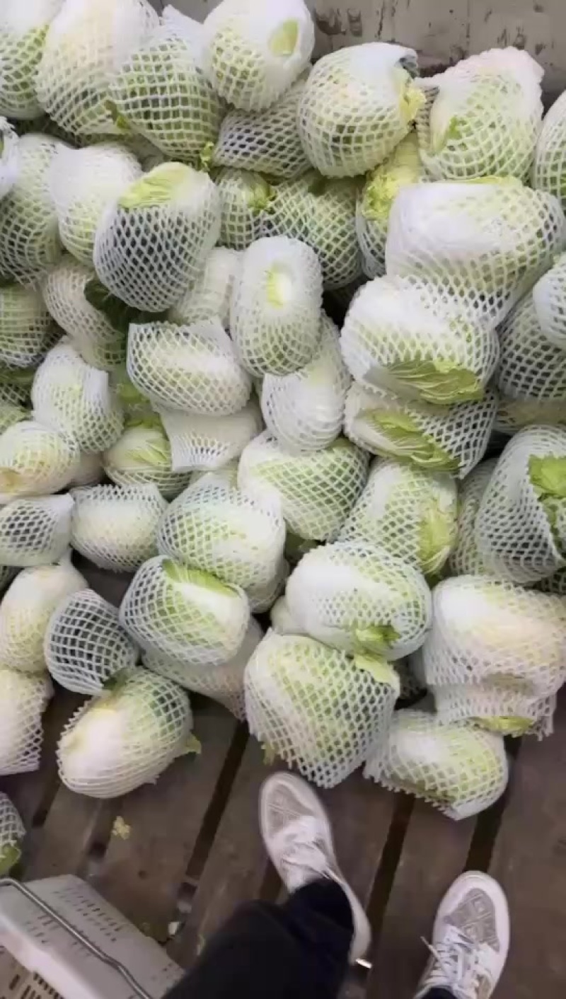 精品包装货