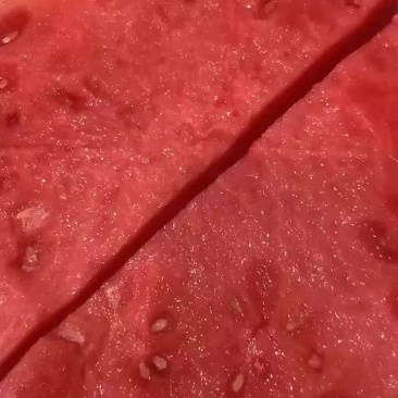 精品纯无籽货源充足量大老板联系