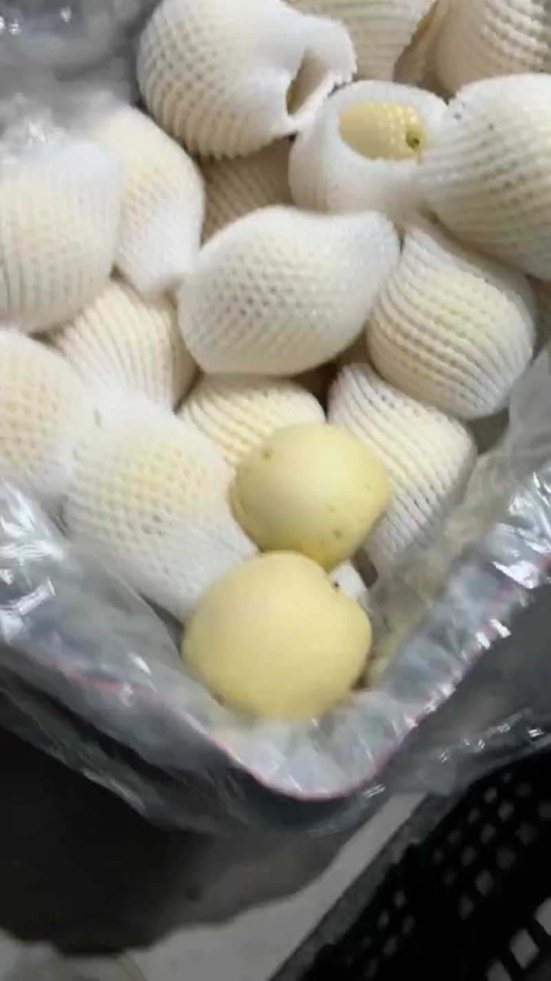 皇冠梨产地二级果