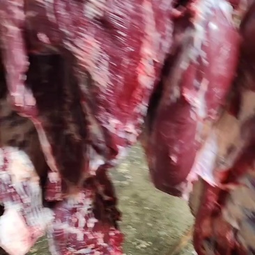 鲜牛肉