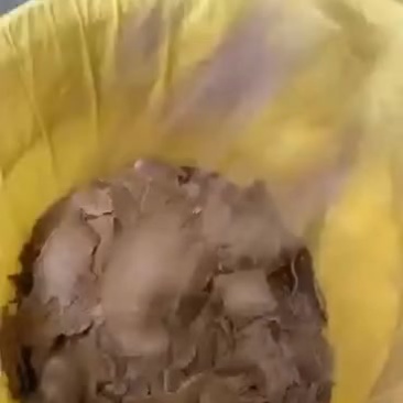 二级菜籽饼，蛋白11，水分8，脂肪4，灰粉8-9