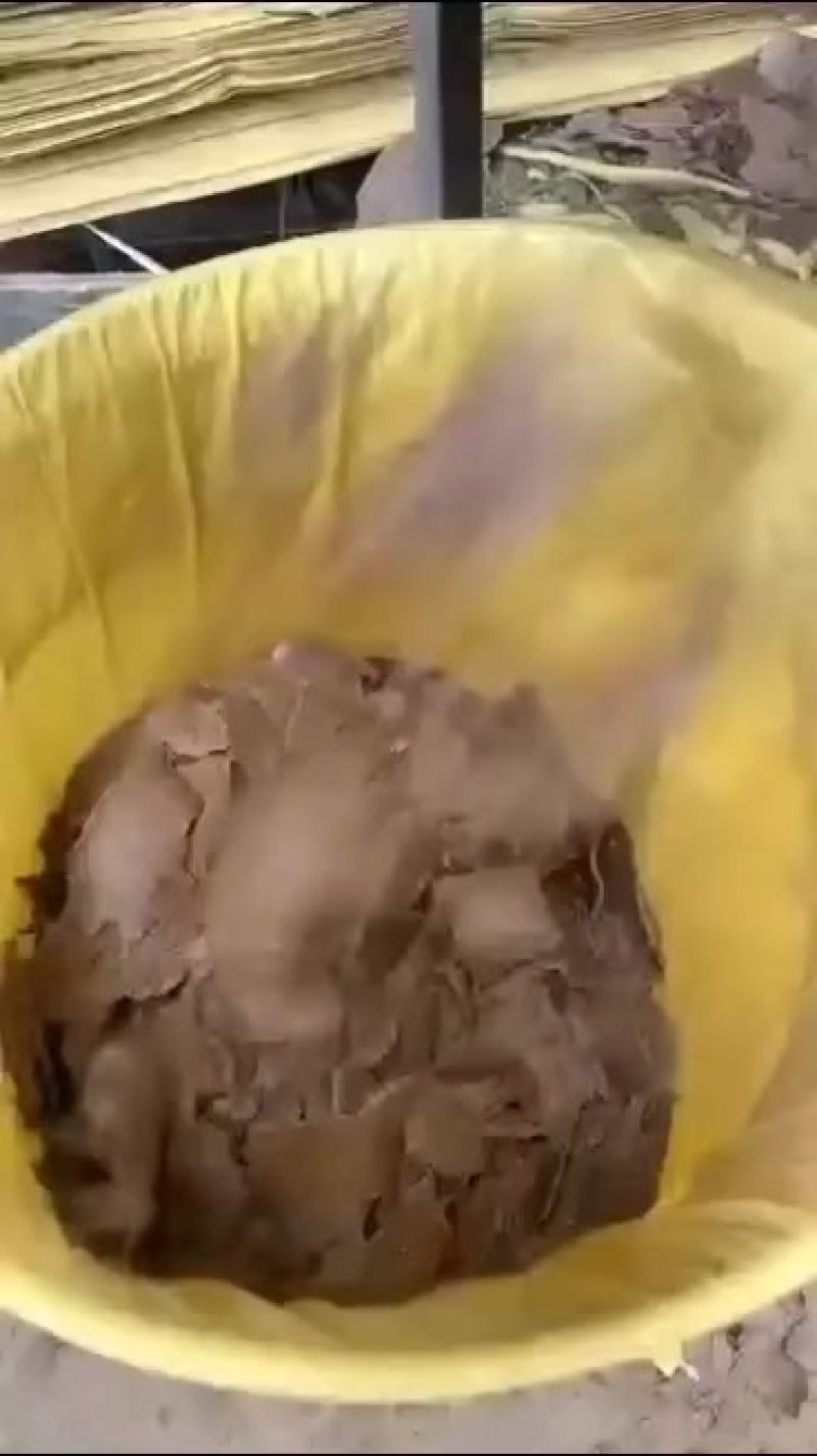 二级菜籽饼，蛋白11，水分8，脂肪4，灰粉8-9