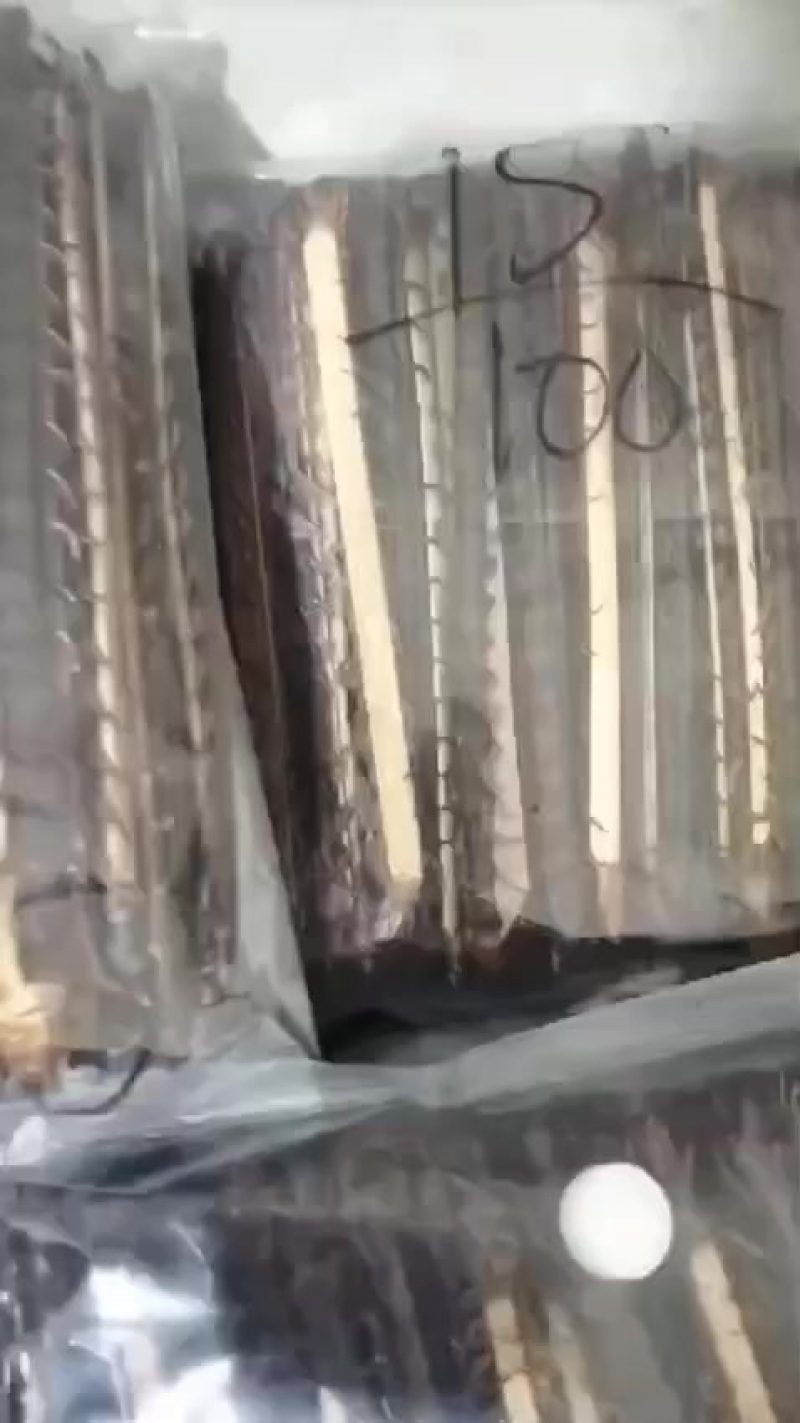 蜈蚣