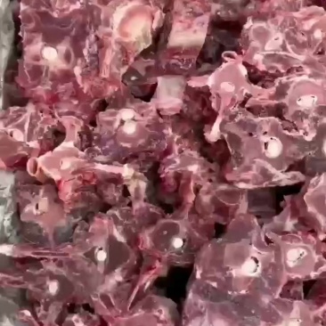福利羊蝎子