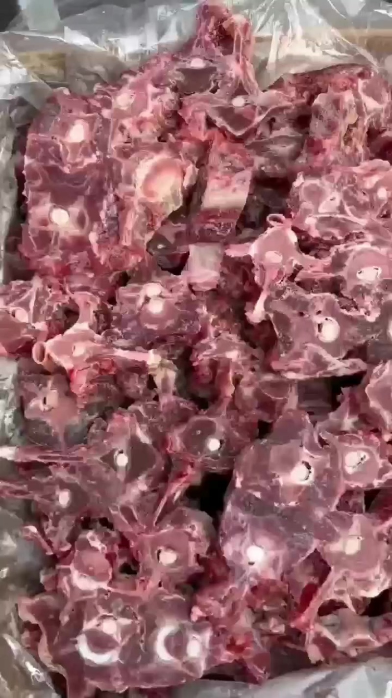 福利羊蝎子
