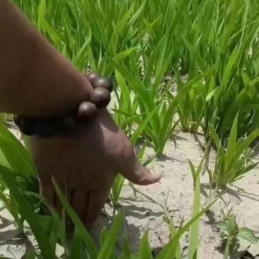 请想信一个，在一线工作的劳动者的，故事。