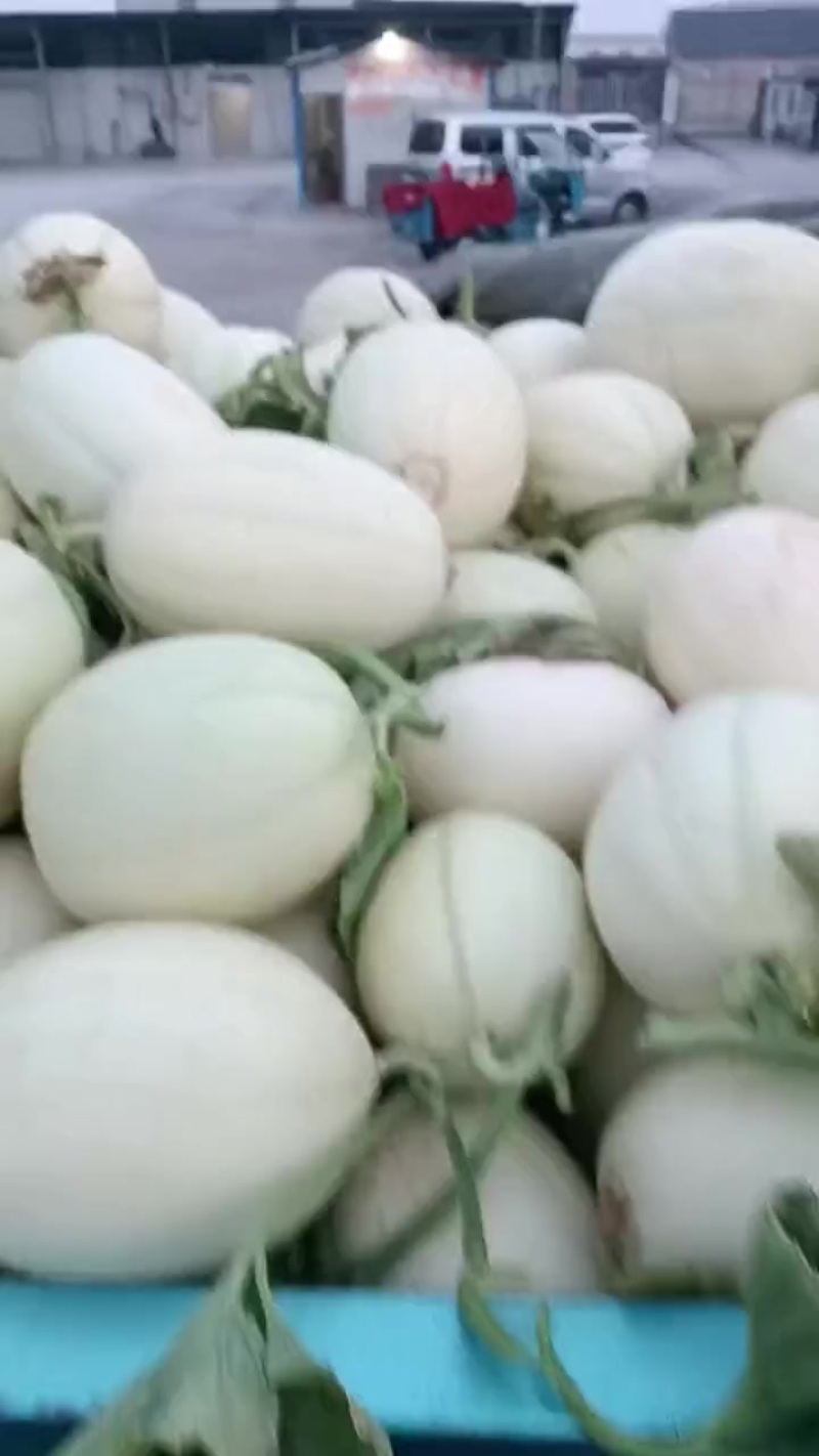 东方蜜