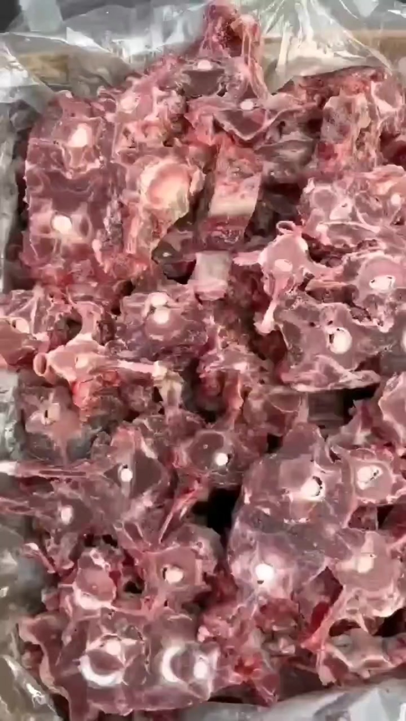 福利羊蝎子