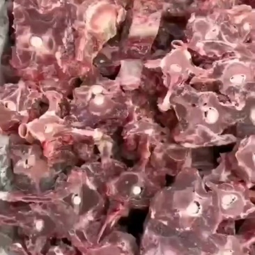 福利羊蝎子