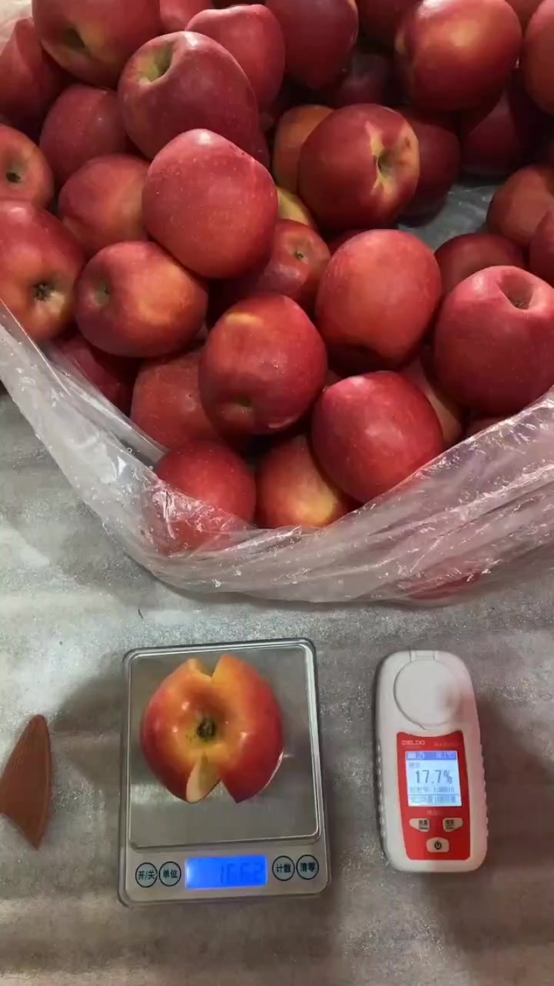 瑞香红商品果70#四十万供货中
