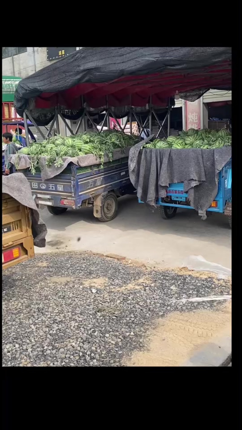 无子美都，711