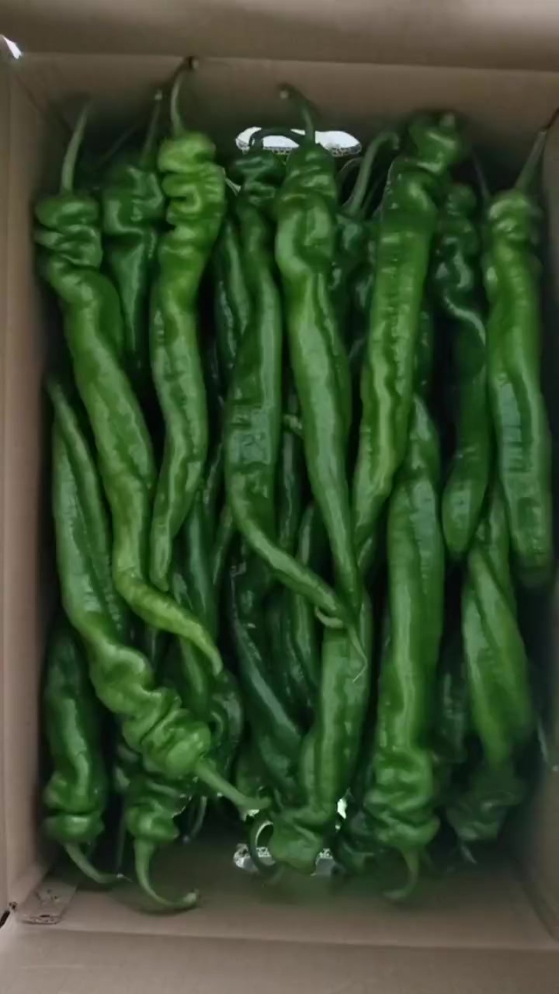 精品螺丝椒