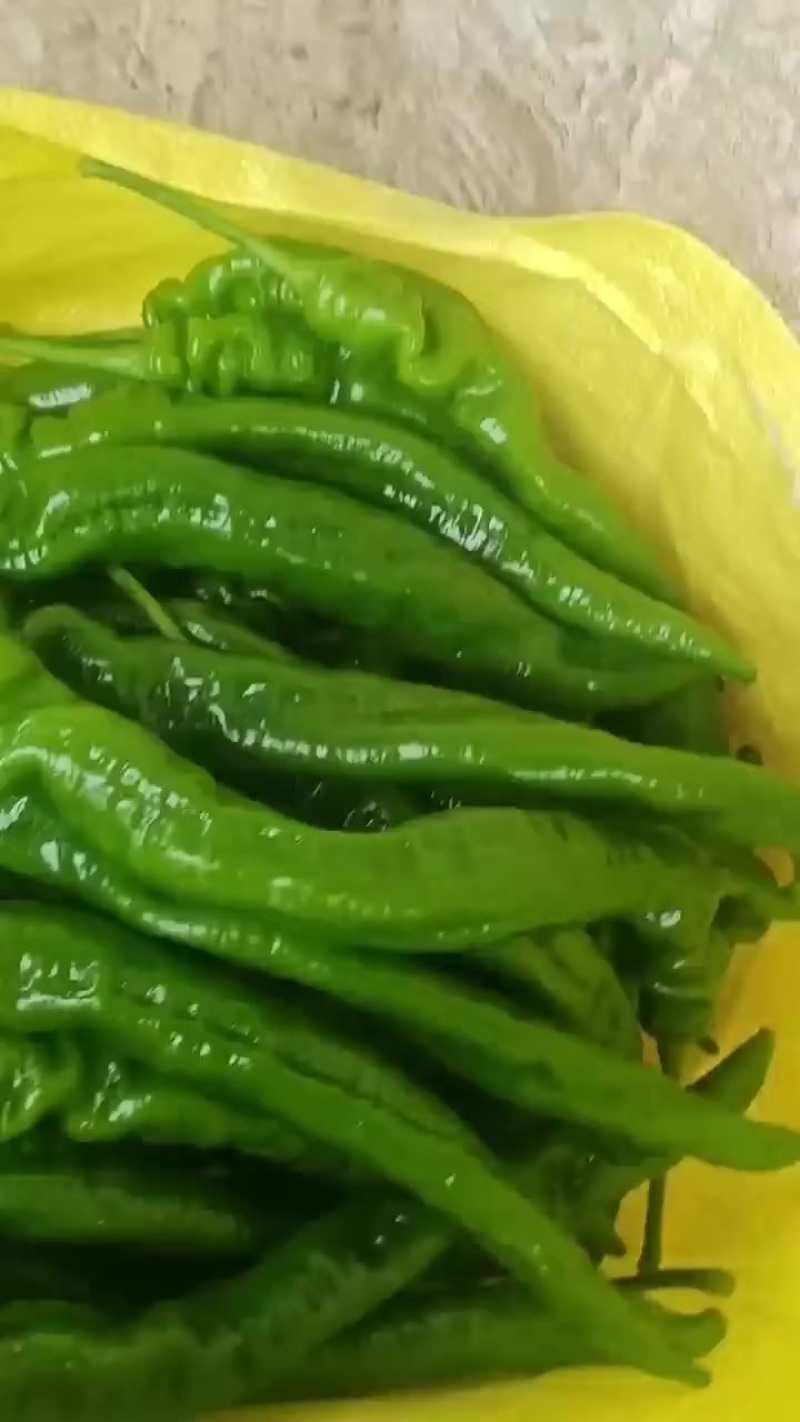 精品螺丝椒