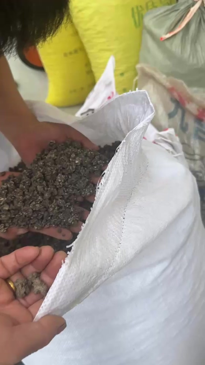 自家种植水洗两遍猫爪草颗粒饱满大小均匀干净无杂基地直发