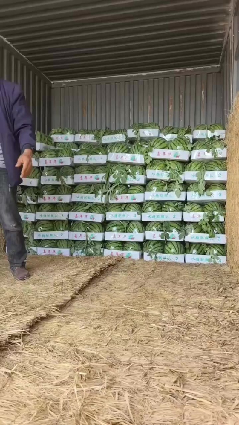 稻草苫