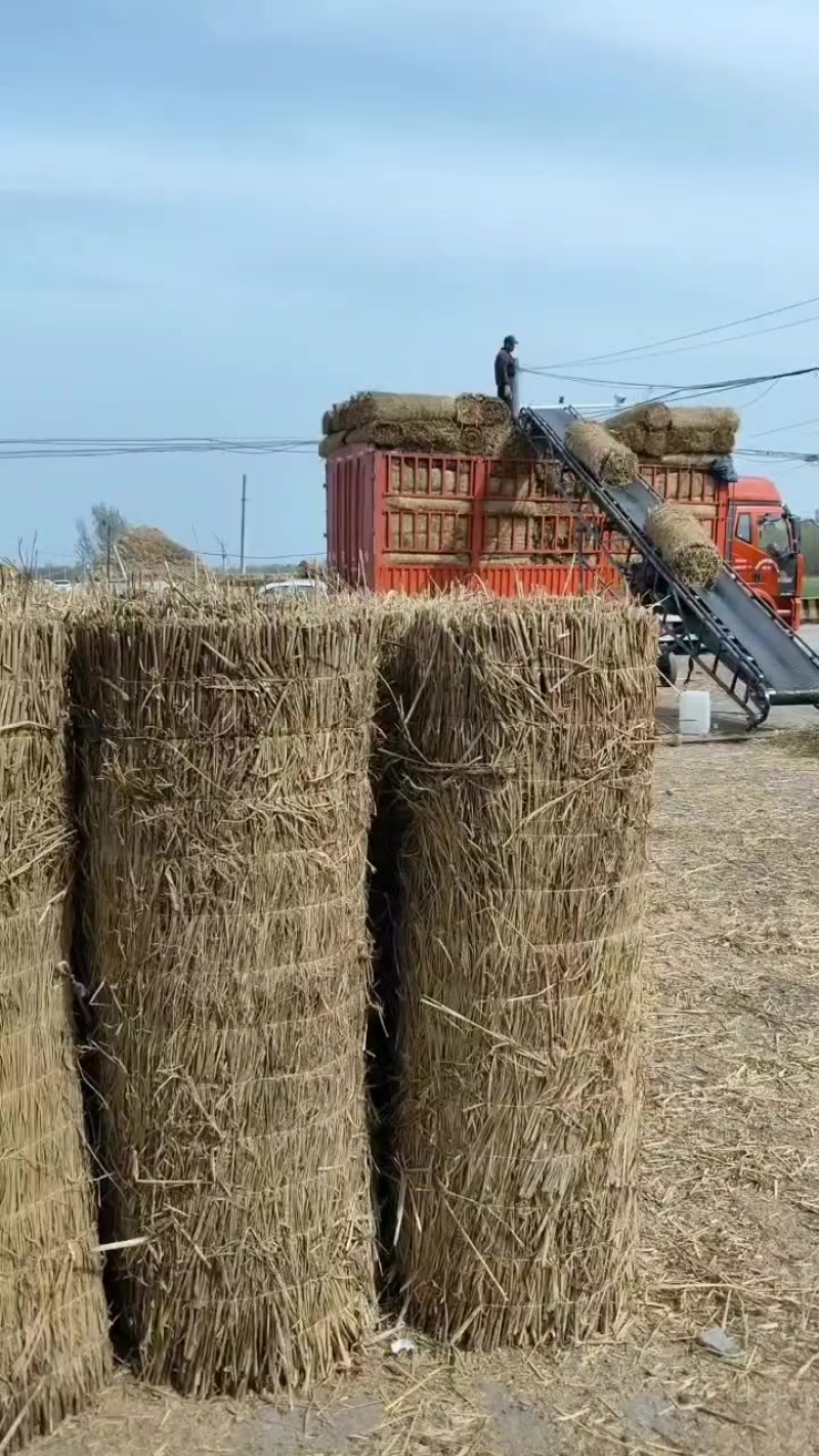 稻草苫