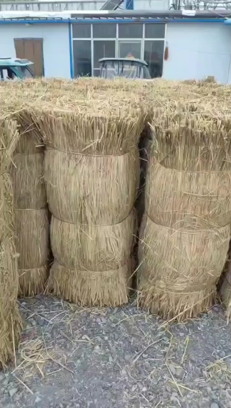 稻草苫