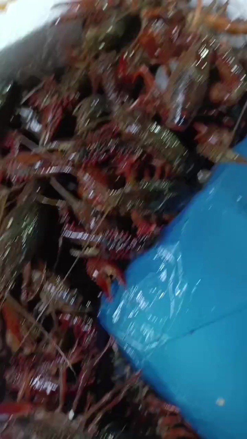 产地直销价格，广州发货，送货上门，质量保证