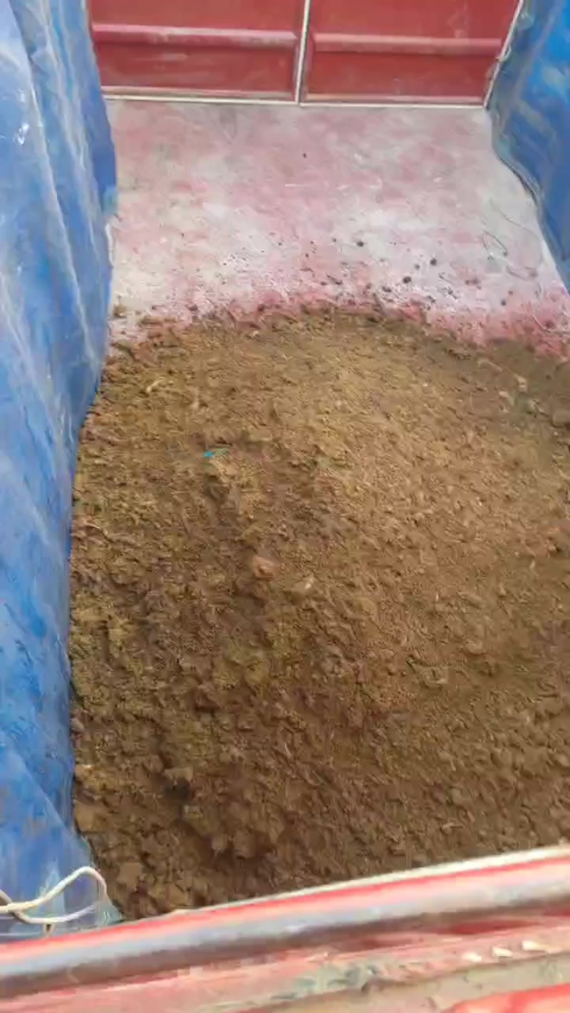 无害化处理肉粉