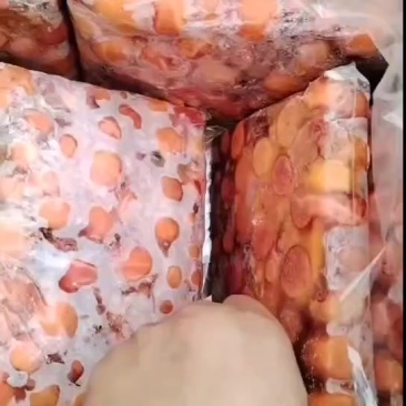 出售带蛋渣蛋黄10吨
